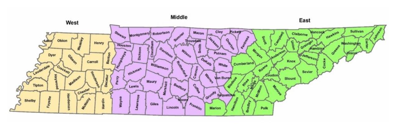 TAB 2025 Board Of Directors Regional Election Ballot Tennessee   Tennessee 3 Large Demographic Septeration 